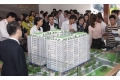 Bất động sản Sài Gòn tăng giá cục bộ